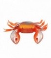 Special pulpera crab 6x10cm