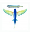 Nomad Slipstream 140 Flying fish 5 1/2" Various colors